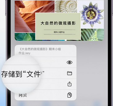 丰顺apple维修中心分享iPhone文件应用中存储和找到下载文件