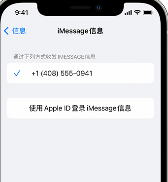 丰顺apple维修iPhone上无法正常发送iMessage信息