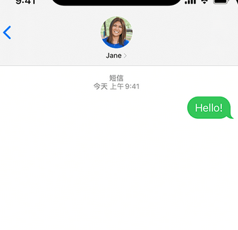 丰顺apple维修iPhone上无法正常发送iMessage信息