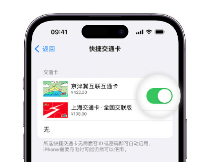 丰顺apple维修点分享iPhone上更换Apple Pay快捷交通卡手绘卡面 