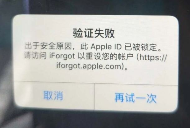 丰顺iPhone维修分享iPhone上正常登录或使用AppleID怎么办 