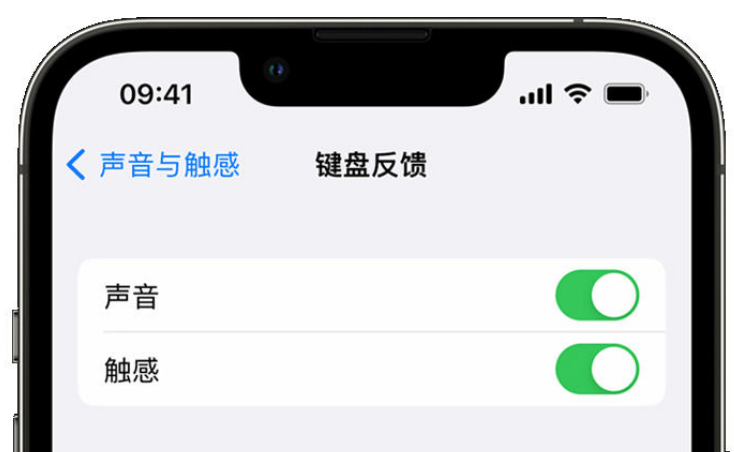 丰顺苹果手机维修分享iPhone 14触感键盘使用方法 