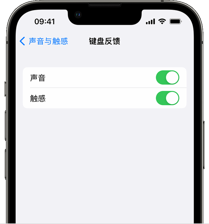 丰顺苹果14维修店分享如何在 iPhone 14 机型中使用触感键盘 