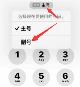 丰顺苹果14维修店分享iPhone 14 Pro Max使用副卡打电话的方法 