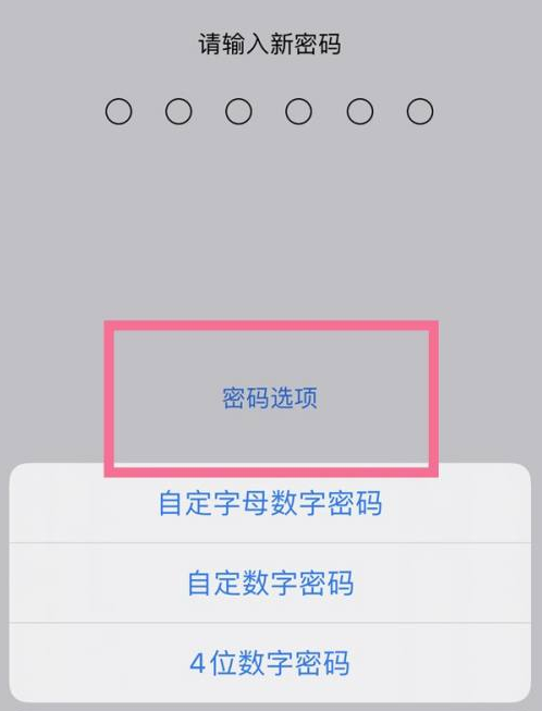 丰顺苹果14维修分享iPhone 14plus设置密码的方法 