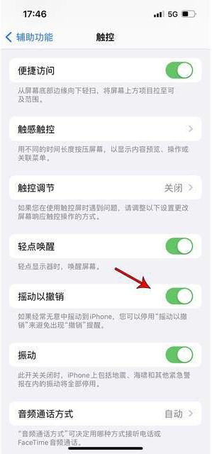 丰顺苹果手机维修分享iPhone手机如何设置摇一摇删除文字 