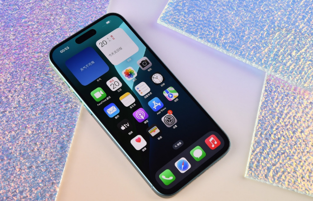 丰顺苹果手机维修分享为什么大家不喜欢苹果iPhone 16 Plus 