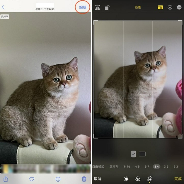 丰顺苹果手机维修分享苹果 iPhone 12 Pro 拍照会过度锐化 