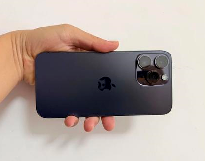 丰顺苹果维修点分享iPhone 14 Pro Max发烫多重诱因剖析 